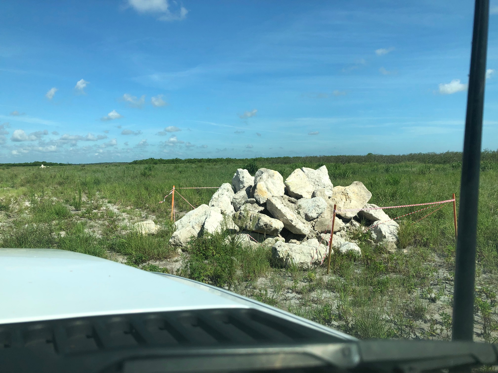 Large pile of rocks formed to create indigo snake habitat