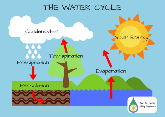 Graphic of the water cycle