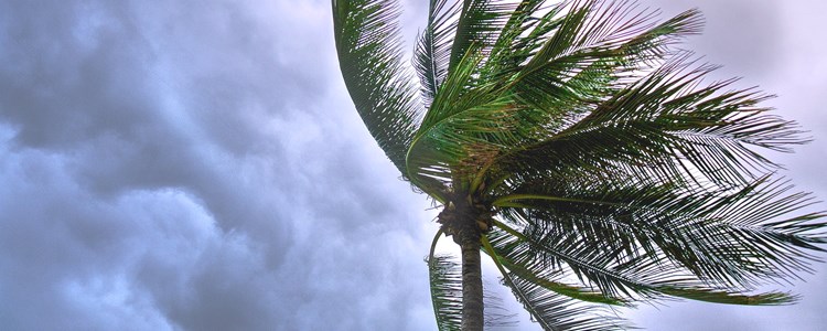 Ready yourself and your home for hurricane season