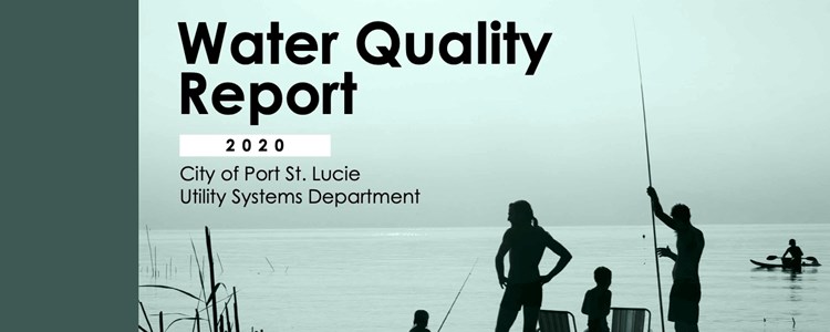 2020 Water Quality Report released