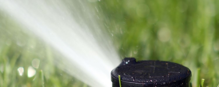 Irrigation limited to 2 times a week for residents